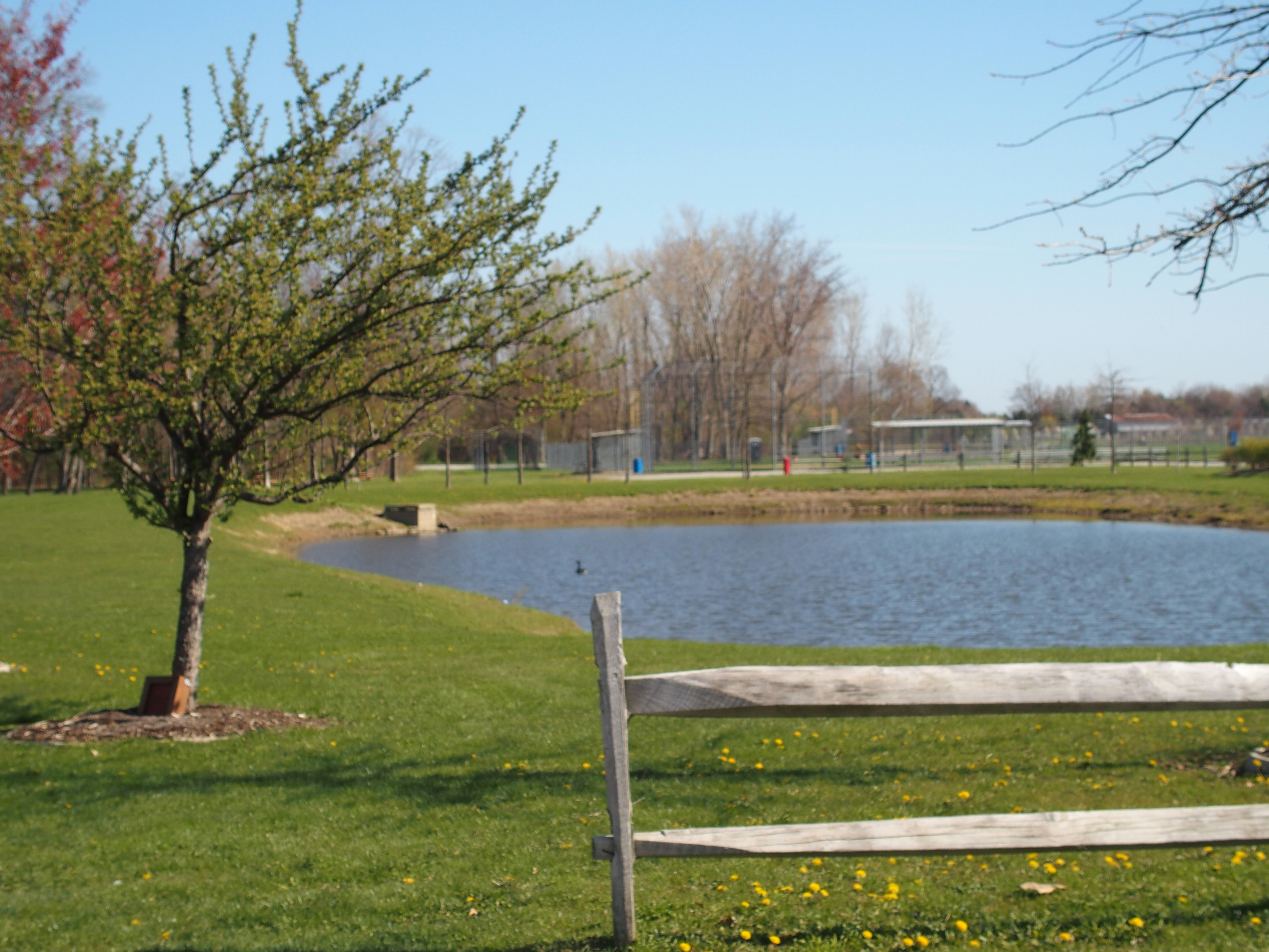 Veterans Memorial Park